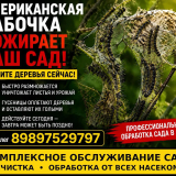 Садовник Сочи